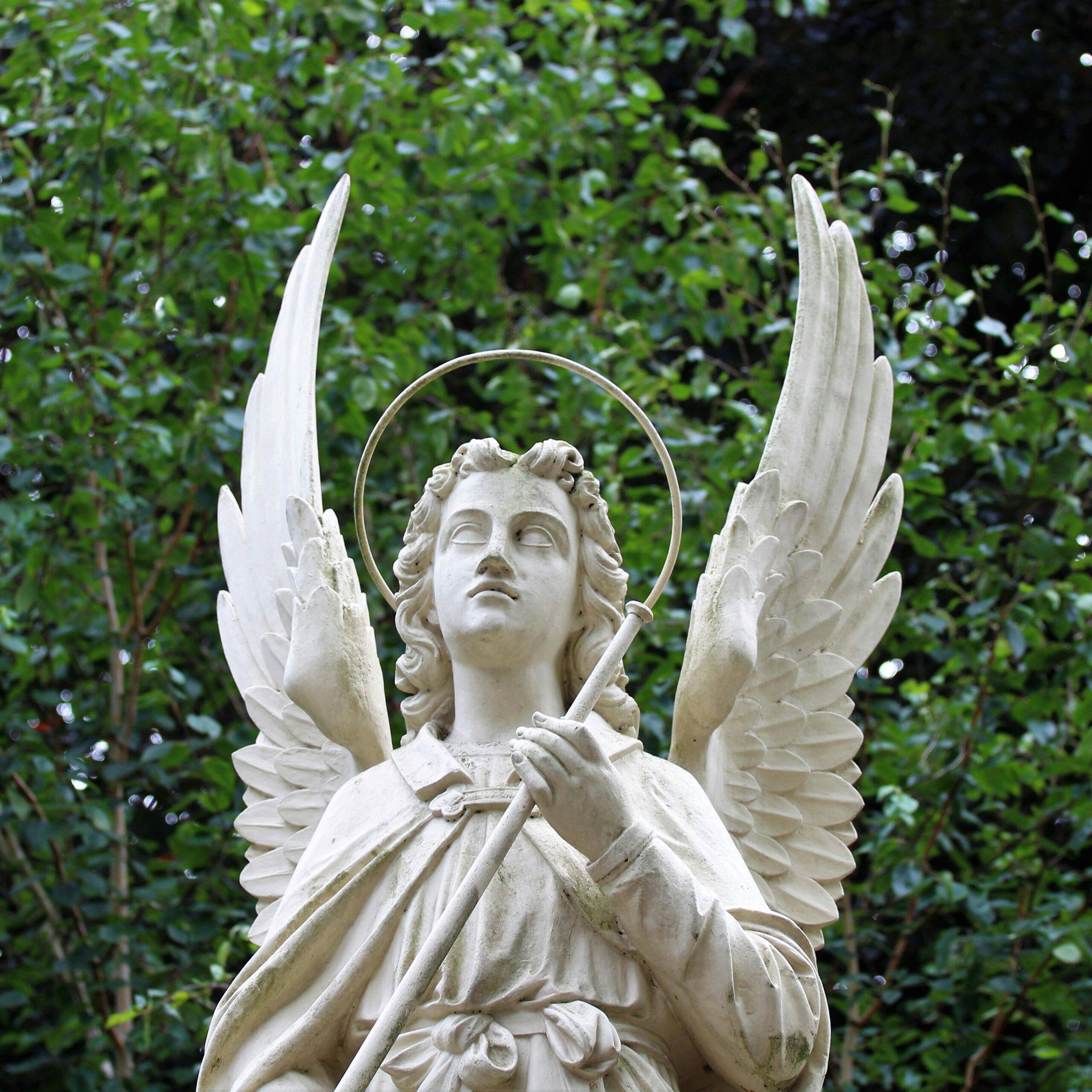 Close-up of a divine angel statue with halo and wings against lush greenery in a garden.