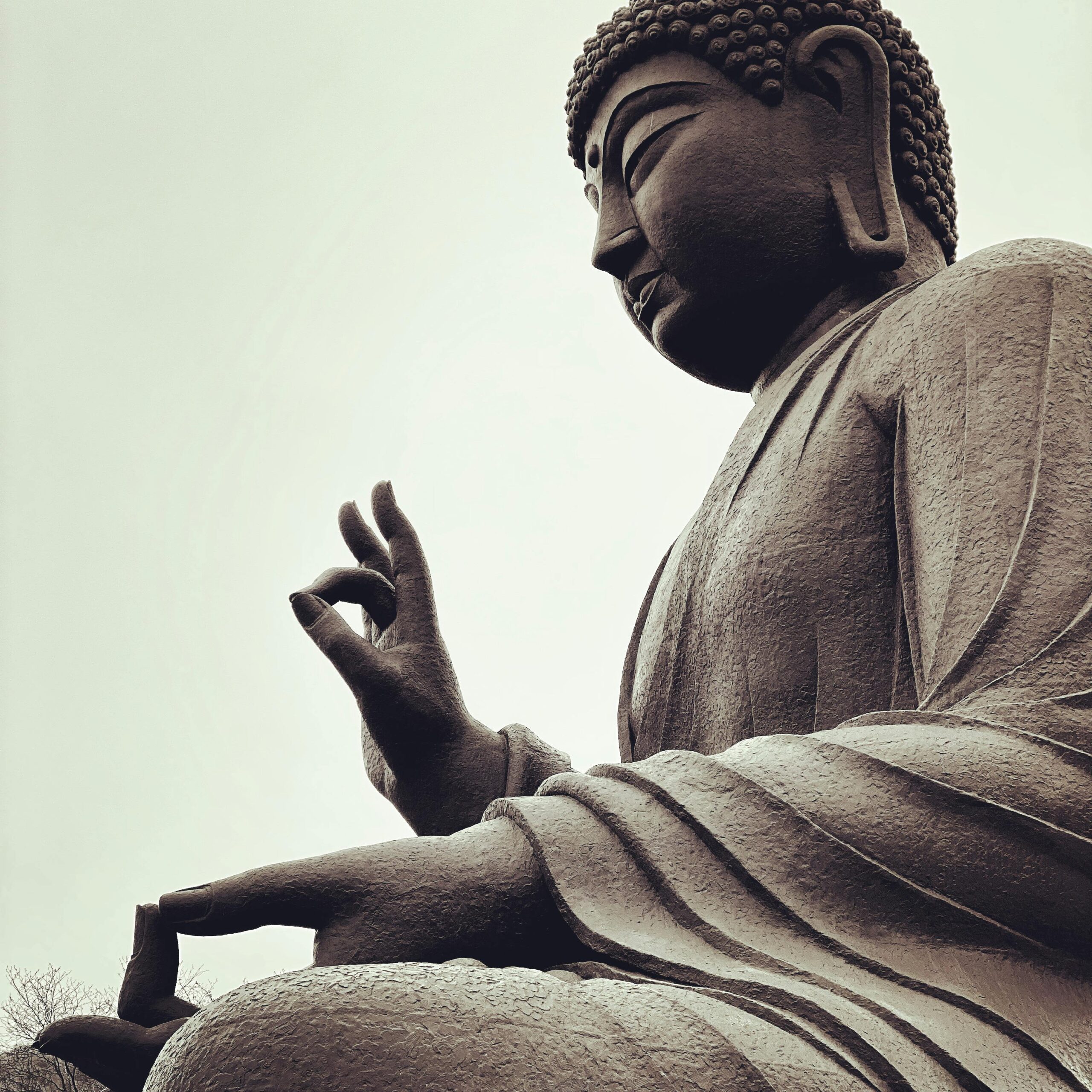 Low angle view of a serene Buddha statue in Cheonan, exuding peace and spirituality.